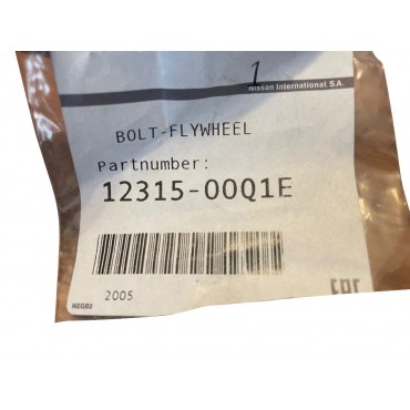 Vis Volant Moteur Pour Nissan X-Trail Van