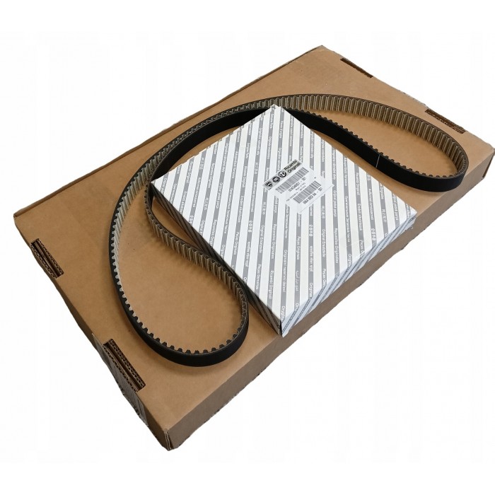 Courroie de Distribution Pour Fiat Ducato 46346957, 46351366