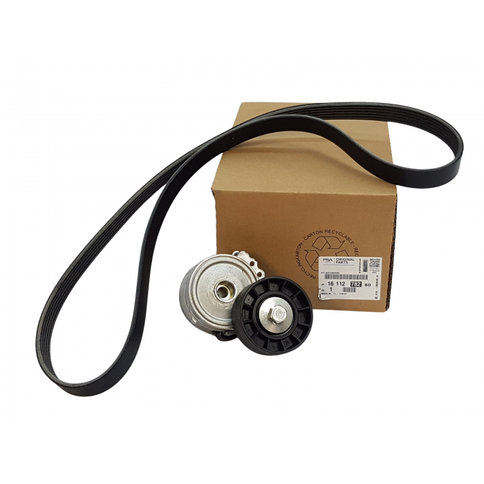 Kit Galet Courroie d'Accessoire Pour Peugeot Fiat Ford C-Max Focus II Citroën