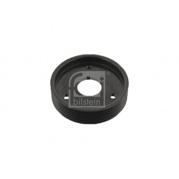 Poulie Pompe de Direction Assistée Pour Renault Clio II Kangoo 7700875328