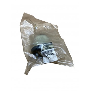 Silent Bloc d'Essieu Arrière Pour Renault Duster Logan II Sandero ZOE Dacia