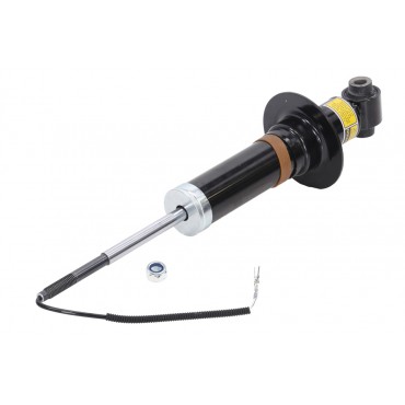 Amortisseur de Suspension Arrière Pour Chevrolet 19300041, 20942614, 92269317