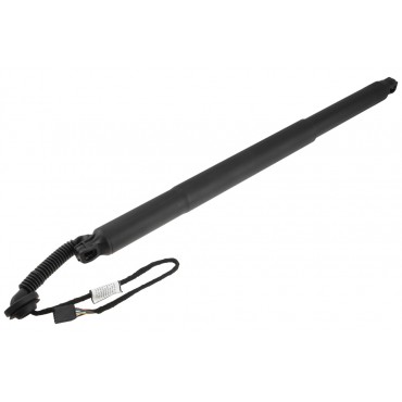 Vérin Hayon de Coffre Droit Pour Chevrolet Trailblazer 42762903