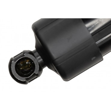 Vérin Hayon de Coffre Gauche Pour Citroën C4 9812129780