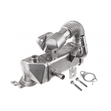 Radiateur Refroidisseur Vanne EGR Pour Renault IV Kadjar Koleos Megane CC Nissan