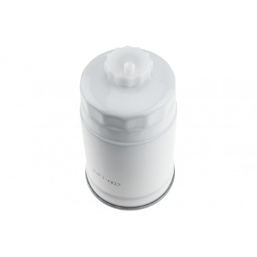 Filtre à Carburant Pour Peugeot Fiat Ducato Citroën Kia 319223E000, 313003E200