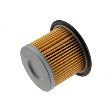 Filtre à Carburant Pour Peugeot Fiat Citroën Hyundai 3190629001, 3190629000