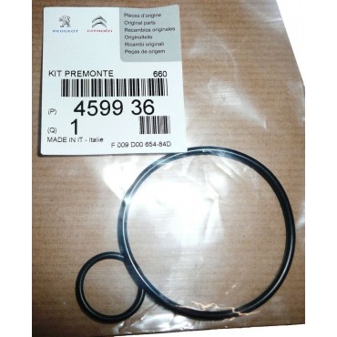Joints de Pompe à Vide Pour Peugeot Fiat Ford C-Max Citroën 459936 9404599368