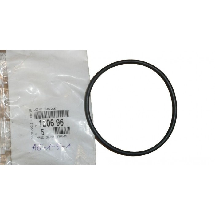 Joint Torique Bride Liquide de Refroidissement Pour Peugeot 106 206 207 307 1007