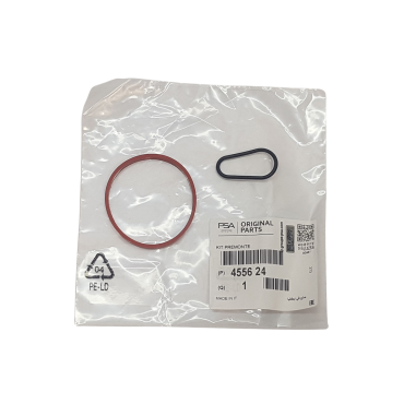 Joints de Pompe à Vide Pour Peugeot Ford B-Max C-Max II Citroën DS 455624