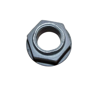 écrou Pivot d'Essieu Arrière Pour Renault Kangoo Laguna Latitude Logan Master