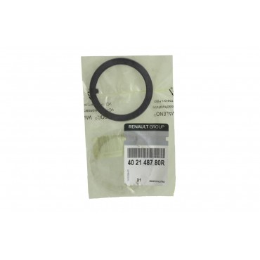 Rondelle Moyeu de Roue Arrière Pour Renault Master III