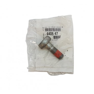 Boulon Vis Support d'étrier Pour Citroën DS3