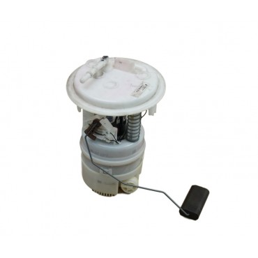Pompe à Carburant Pour Peugeot 407 Citroën C5 C6