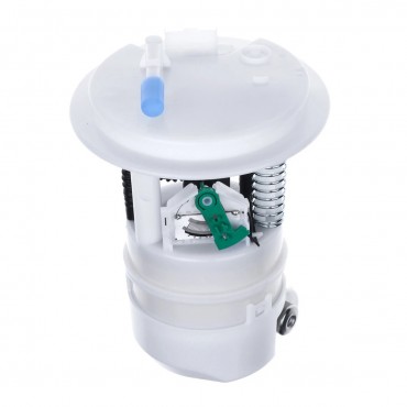 Pompe à Carburant Pour Peugeot 307 308 Citroën C4