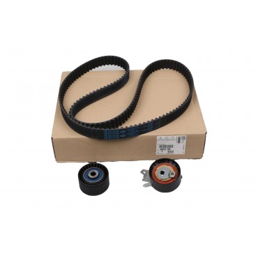 Kit de Distribution Pour Peugeot 307 308 407 807 Expert Citroën C4 C5 C8 Jumpy