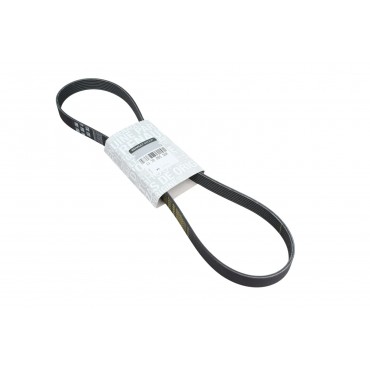 Courroie d'Accessoire Pour Renault Dacia Nissan Micra V 117209538R