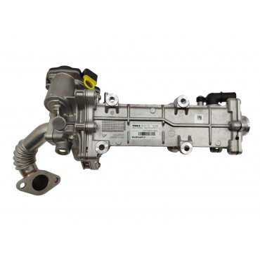 Refroidisseur de Vanne EGR Pour Iveco Daily IV