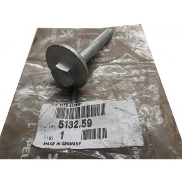 Vis Bras de Suspension Pour Peugeot 406 513259