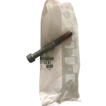 Vis de Fixation Alternateur Pour Citroën Berlingo