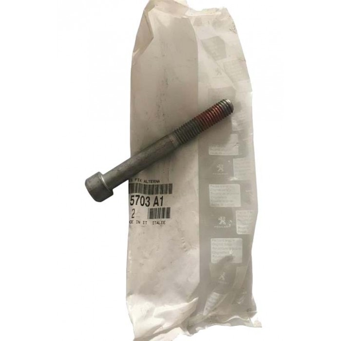 Vis de Fixation Alternateur Pour Citroën Berlingo