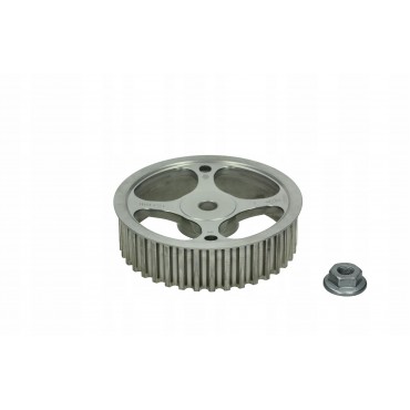 Poulie d'Arbre à Cames Pour Renault Megane II Scénic Dacia Logan II Sandero