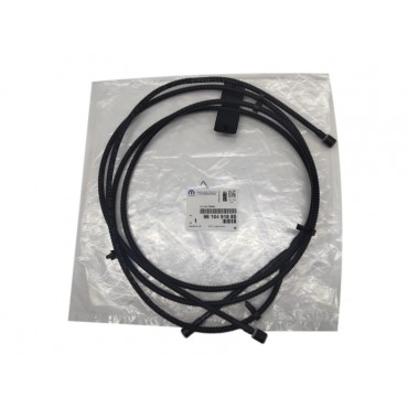 Tuyau de Lave Glace Pare Brise Pour Citroën C5 9816491880