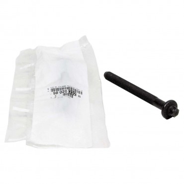 Vis de Culasse Pour Opel Fiat Ford C-Max II Citroën 964639788010X, 9646397880