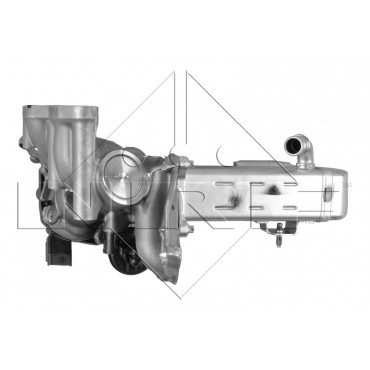 Vanne EGR Pour Peugeot Fiat Scudo Ford Citroën 9678257280 9671398180 2175520