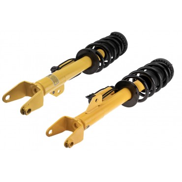 x2 Amortisseur de Suspension Avant Gauche+Droit Pour Dodge Charger