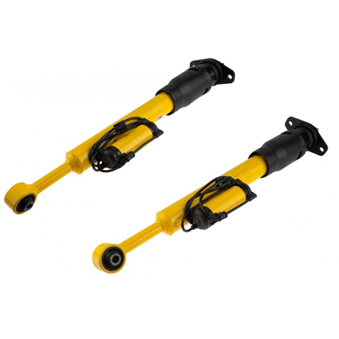 x2 Amortisseur de Suspension Arrière Gauche+Droit Pour Dodge Charger