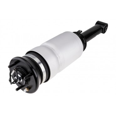 Amortisseur de Suspension Avant Pour Land Rover