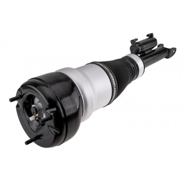 Amortisseur de Suspension Avant Droit Pour Mercedes-Benz Classe S