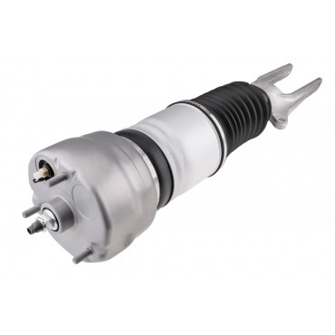 Amortisseur de Suspension Avant Droit Pour Porsche Panamera