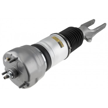 Amortisseur de Suspension Avant Droit Pour Porsche Panamera