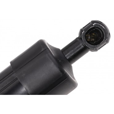 Vérin de Coffre Droit Pour Lexus RX 6891048081