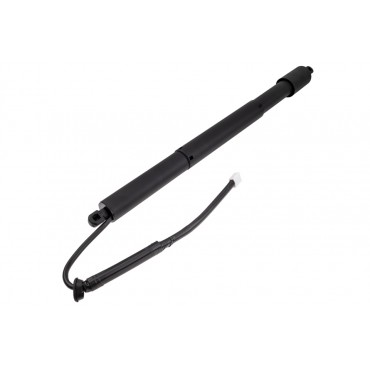 Vérin de Coffre Droit Pour Toyota Corolla 6891012020