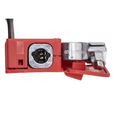 Cable de Batterie Plus Pour BMW Série 2 G42 G87 61125A69346