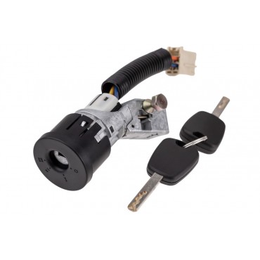 Neiman Antivol Démarrage Pour Peugeot Toyota Citroën C1 690570H010, 690570H012