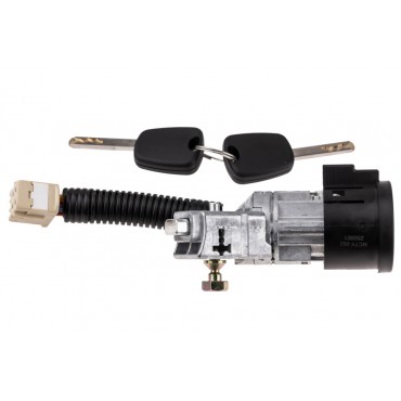 Neiman Antivol Démarrage Pour Peugeot Toyota Citroën C1 690570H010, 690570H012