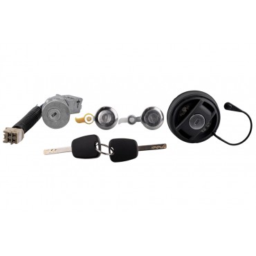 Contacteur d'Allumage + Serrures Portes Pour Peugeot 107 Toyota Aygo Citroën C1