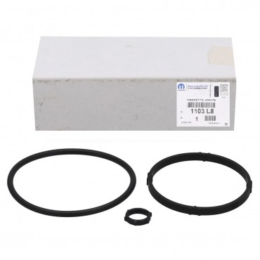 Joints d'étanchéité Filtre à Huile Pour Peugeot 206 207 208 Fiat Citroën