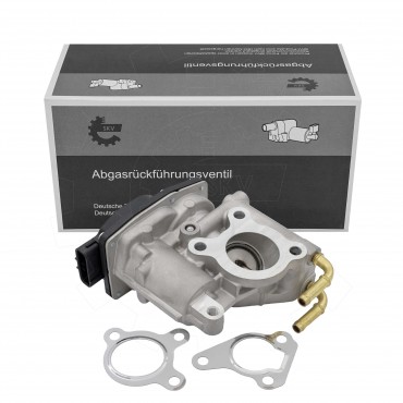 Vanne EGR Pour VW Audi Toyota Auris Avensis Corolla 2580026010, 258000R010