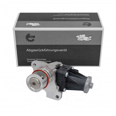 Vanne EGR Pour Renault Mercedes-Benz Nissan 8200129863, 147105308R 1471000Q0X