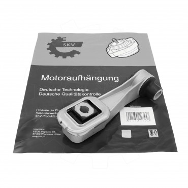 Support Moteur Droit Pour Renault Clio III Modus 8200487916, 8200239893