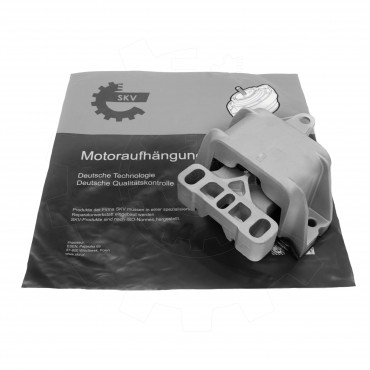 Support de Boite de Vitesses Pour VW Audi Seat Skoda 1J0199555AA, 1J0199555AK