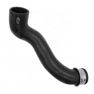 Durite Liquide de Refroidissement Pour Mercedes-Benz A2035010482, 2035010482