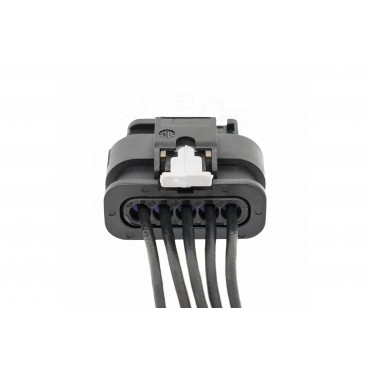 Faisceau Broche Connectique