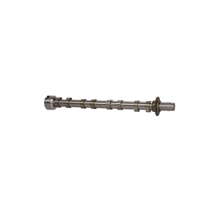 Arbre à came Pour Peugeot Ford Citroën DS 9804424280 1871343 D7SQ6A273BA
