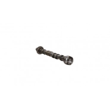 Arbre à came Pour Peugeot Ford Citroën DS 9804424280 1871343 D7SQ6A273BA